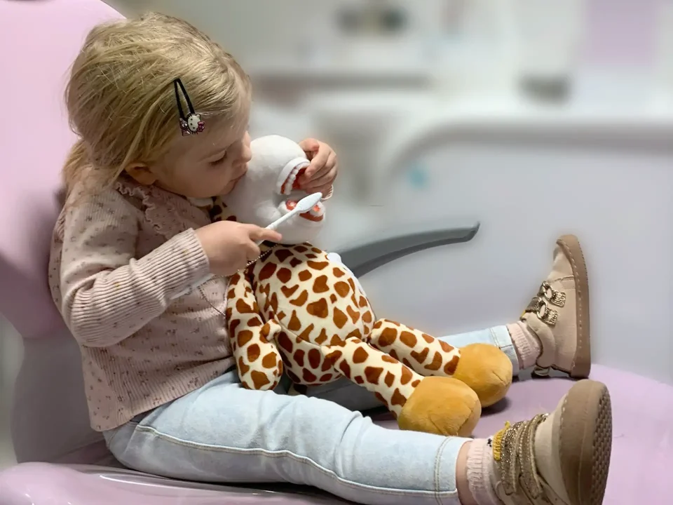 CLÍNICA DENTAL MARILÓ PUCHOL | RECURSO DE IMAGEN DECORATIVA